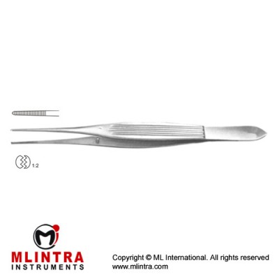 Brophy Dissecting Forceps 1 x 2 Teeth Stainless Steel, 20 cm - 8"